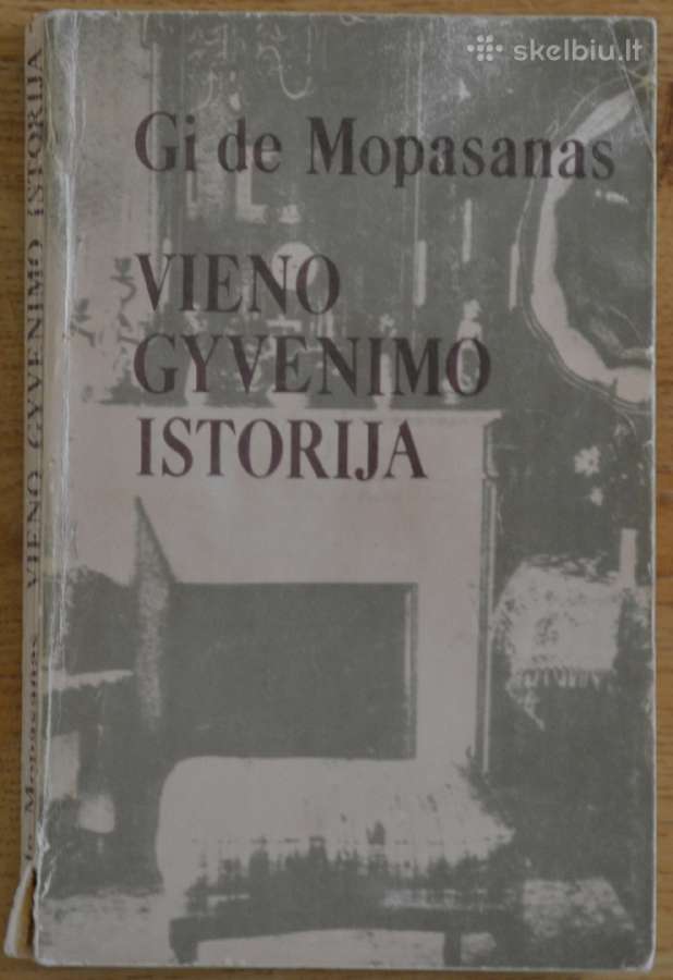 Vieno gyvenimo istorija