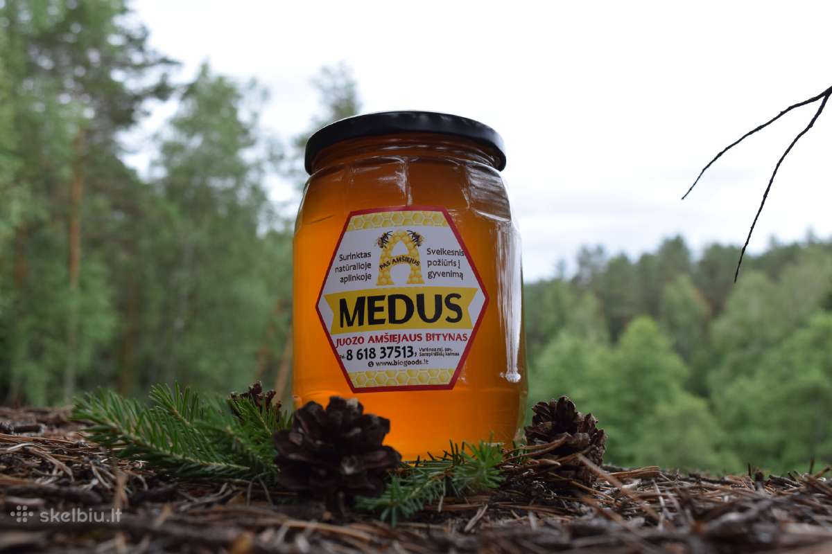 Bičių medus, Juozo Amšiejaus bitynas - nuotraukos Nr. 3