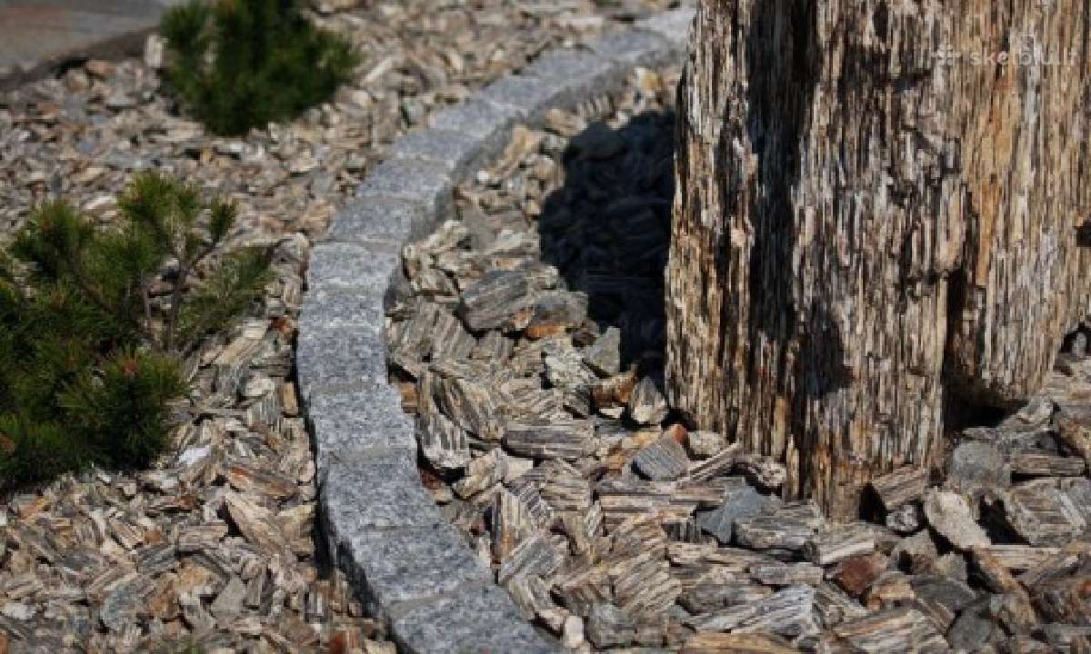 Gneisas - Medžio akmuo - Mėnulio akmuo - nuotraukos Nr. 3