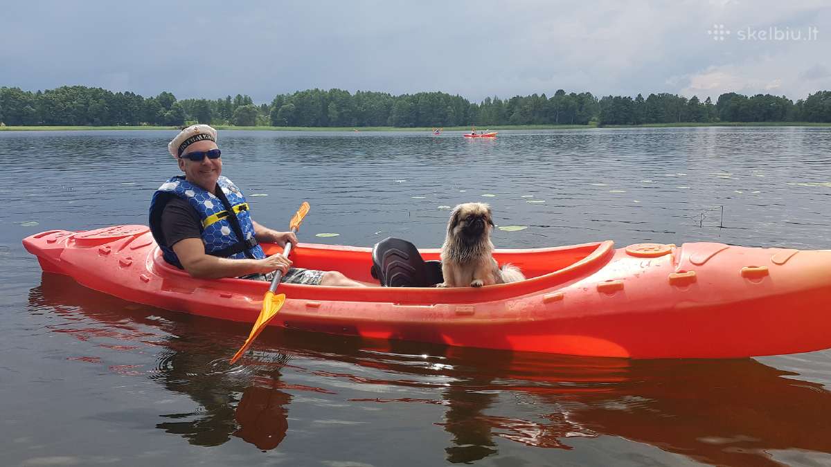 Baidarių, irklenčių nuoma, Sup, dviračių nuoma. - nuotraukos Nr. 13