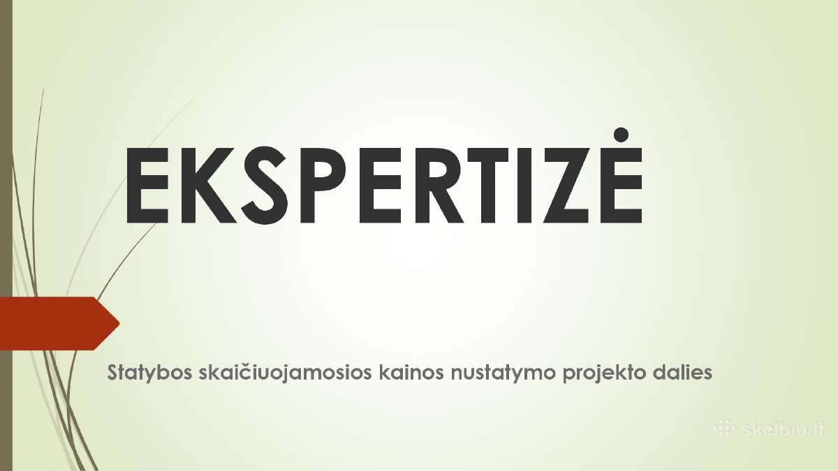 Projekto dalies ekspertizė