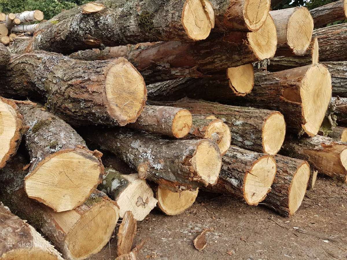 Parduodu lapuočio ir spygliuočių malkas - nuotraukos Nr. 9