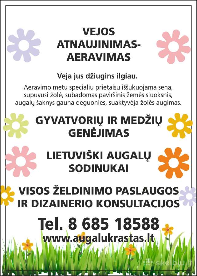 Hortenzijos Vanile Freis ir kt. dekoratyv augalai - nuotraukos Nr. 18