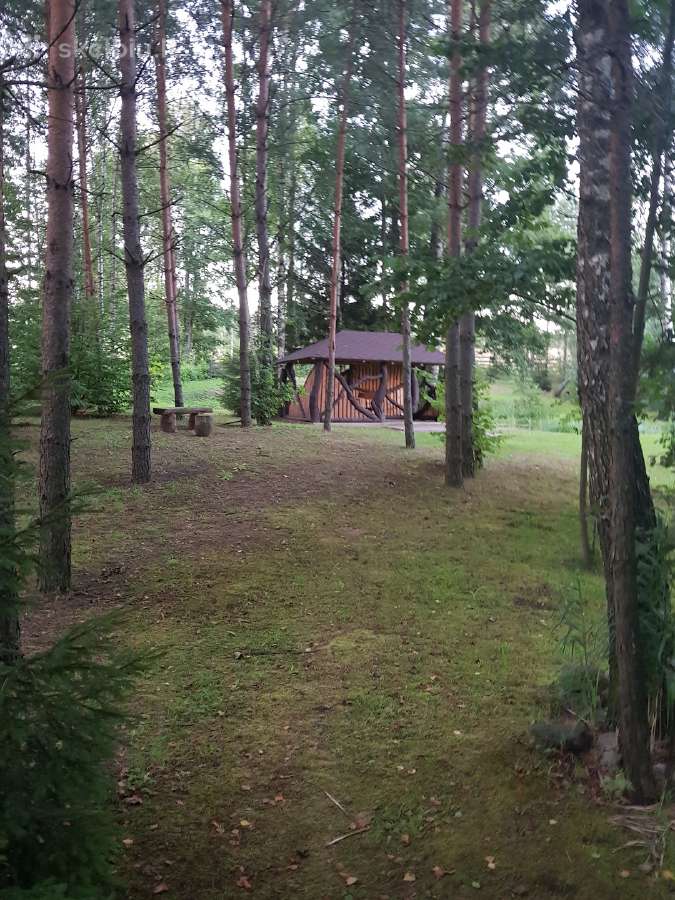 Poilsis pas Loretą Varėnos r. - nuotraukos Nr. 18