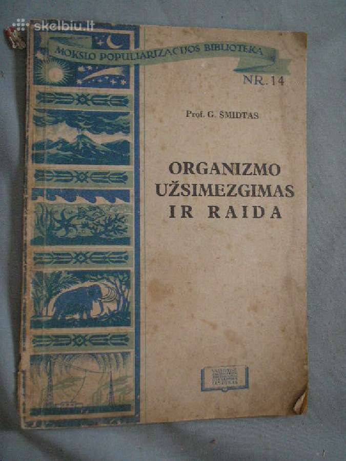 1945m organizmo uzsimezgimas ir raida