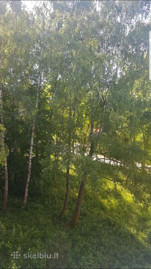Netoli Centro,trumpalaikei 2 kmb butas - nuotraukos Nr. 14