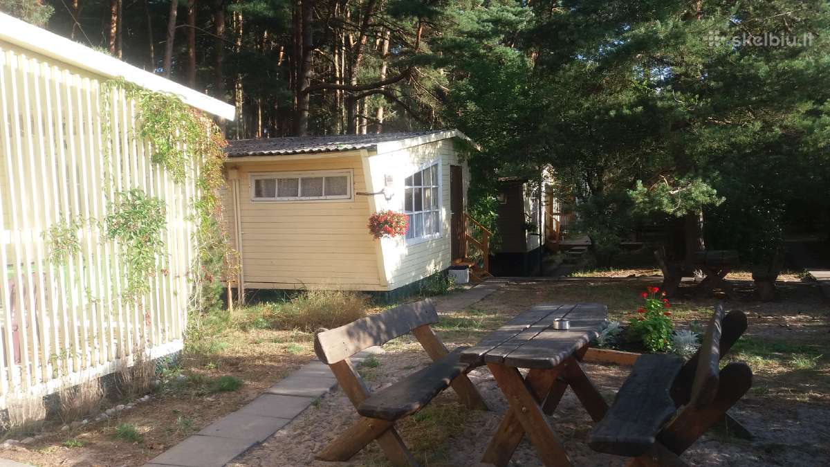 Šventojoje ,Namelių nuoma,pušyne,netoli jūros nuo - nuotraukos Nr. 8