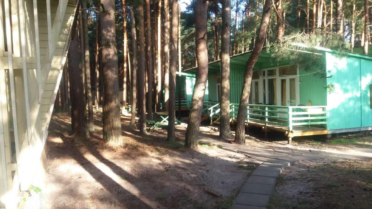 Šventojoje ,Namelių nuoma,pušyne,netoli jūros nuo - nuotraukos Nr. 5