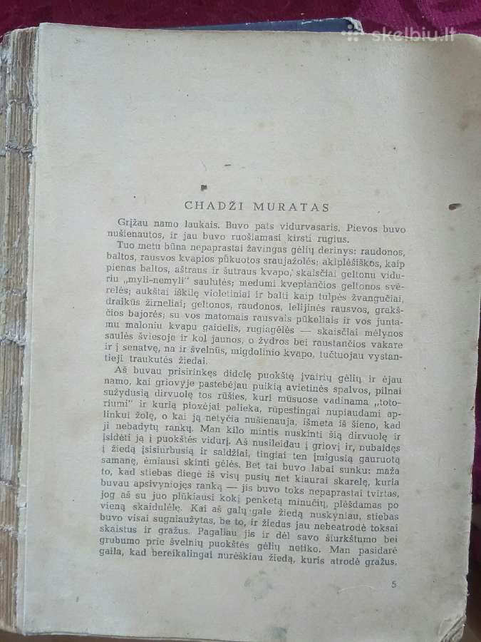 Hadzi miestas 1949 m