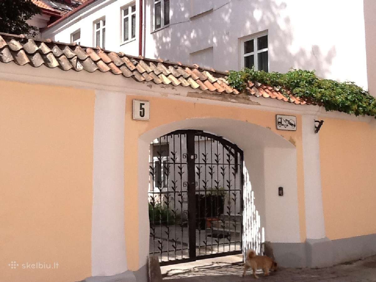 Prabangūs butai, jacuzzi , šalia prezidentūros - nuotraukos Nr. 21