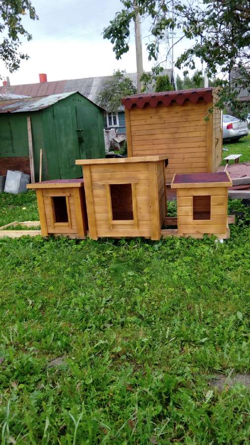 Šuns budos didelės ir mažos - nuotraukos Nr. 6