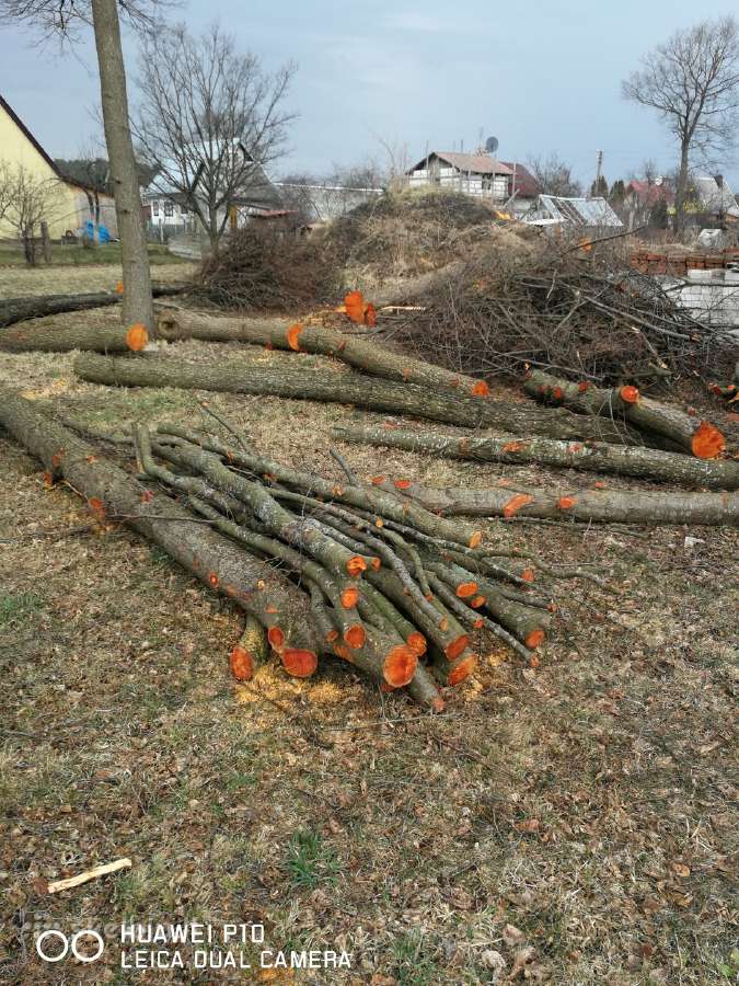 Medžių pjovimas,genėjimas,apleistų sklypų, šakų - nuotraukos Nr. 13