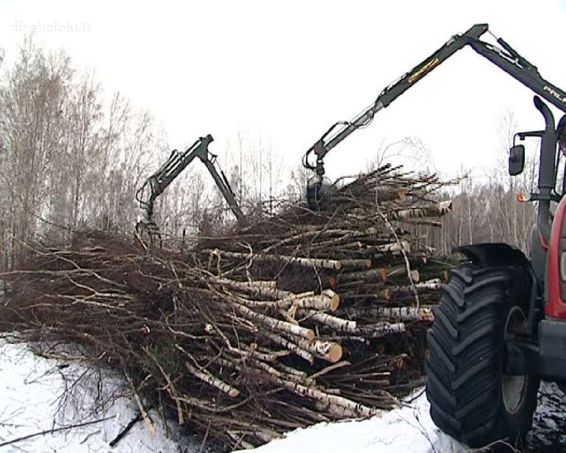 Perkame žaliavą biokurui, valome krūmynus - nuotraukos Nr. 2
