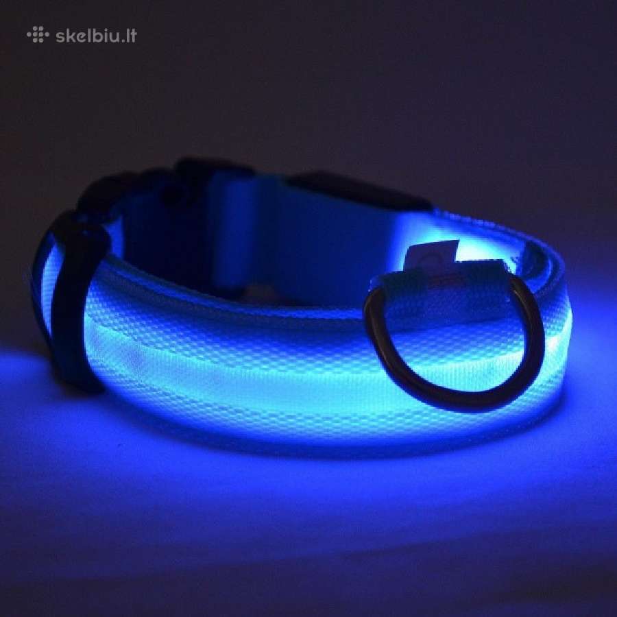 LED šviečiantys antkakliai šunims - nuotraukos Nr. 6