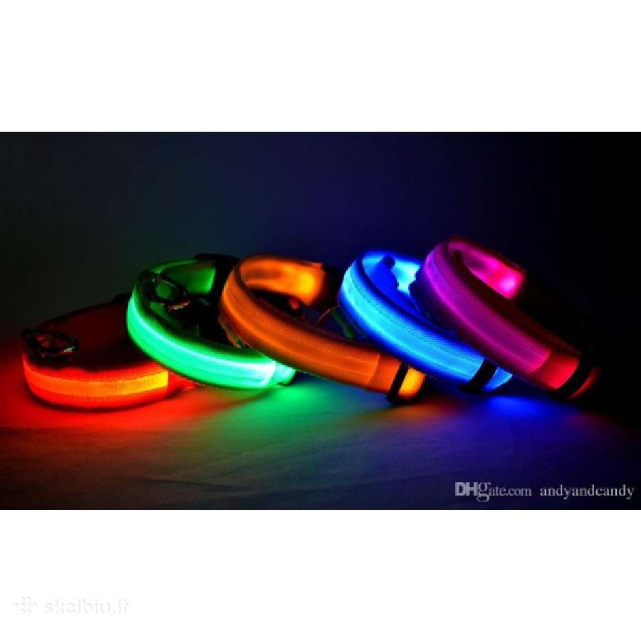 LED šviečiantys antkakliai šunims - nuotraukos Nr. 3