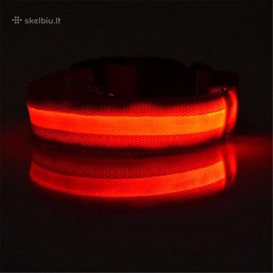 LED šviečiantys antkakliai šunims - nuotraukos Nr. 4