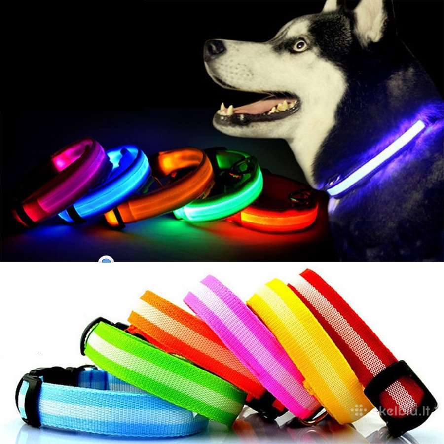 LED šviečiantys antkakliai šunims - nuotraukos Nr. 2