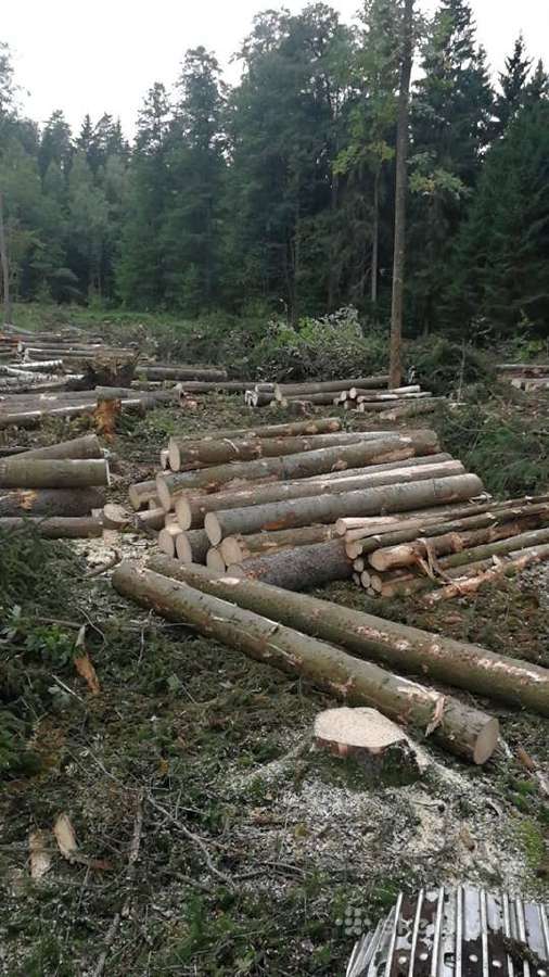Tvarkome apleistus laukus,zemes.mokame nuo 500eu/h - nuotraukos Nr. 12