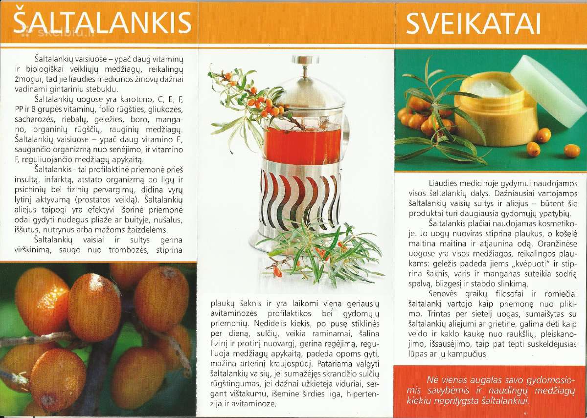 Veislinių šaltalankių sodinukai, galiu užsodinti - nuotraukos Nr. 13