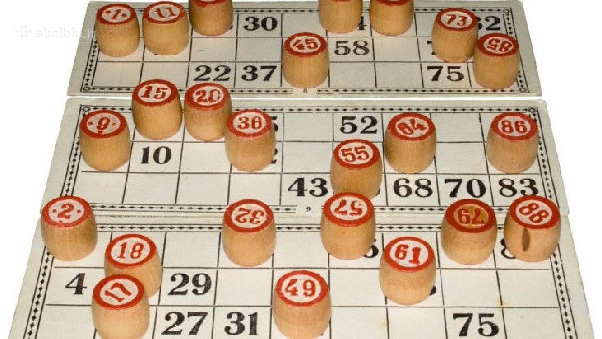 Žaidimai Loto, Šaškės - nuotraukos Nr. 4