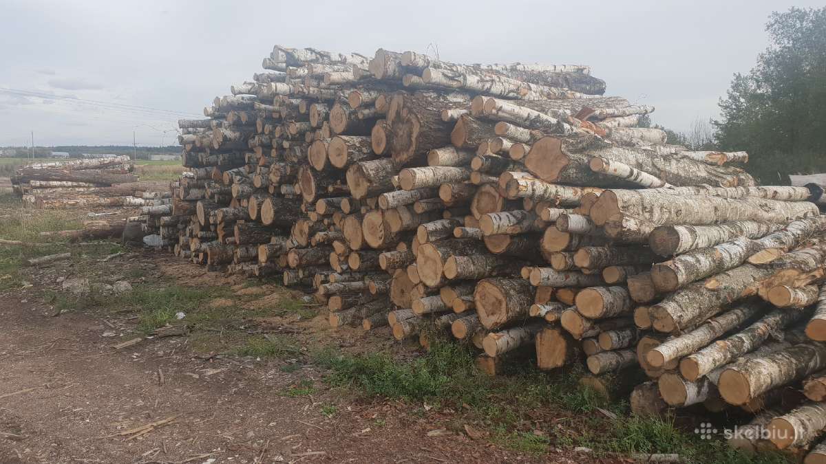 Malkos vidurio ir šiaurės Lietuvoje Akcija! - nuotraukos Nr. 2