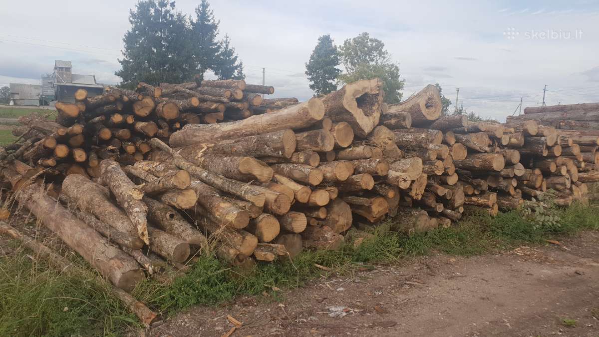 Malkos vidurio ir šiaurės Lietuvoje Akcija! - nuotraukos Nr. 4