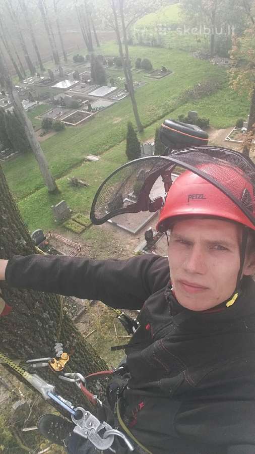 Arboristas. Medžių pjovimas, kelmų naikinimas - nuotraukos Nr. 18