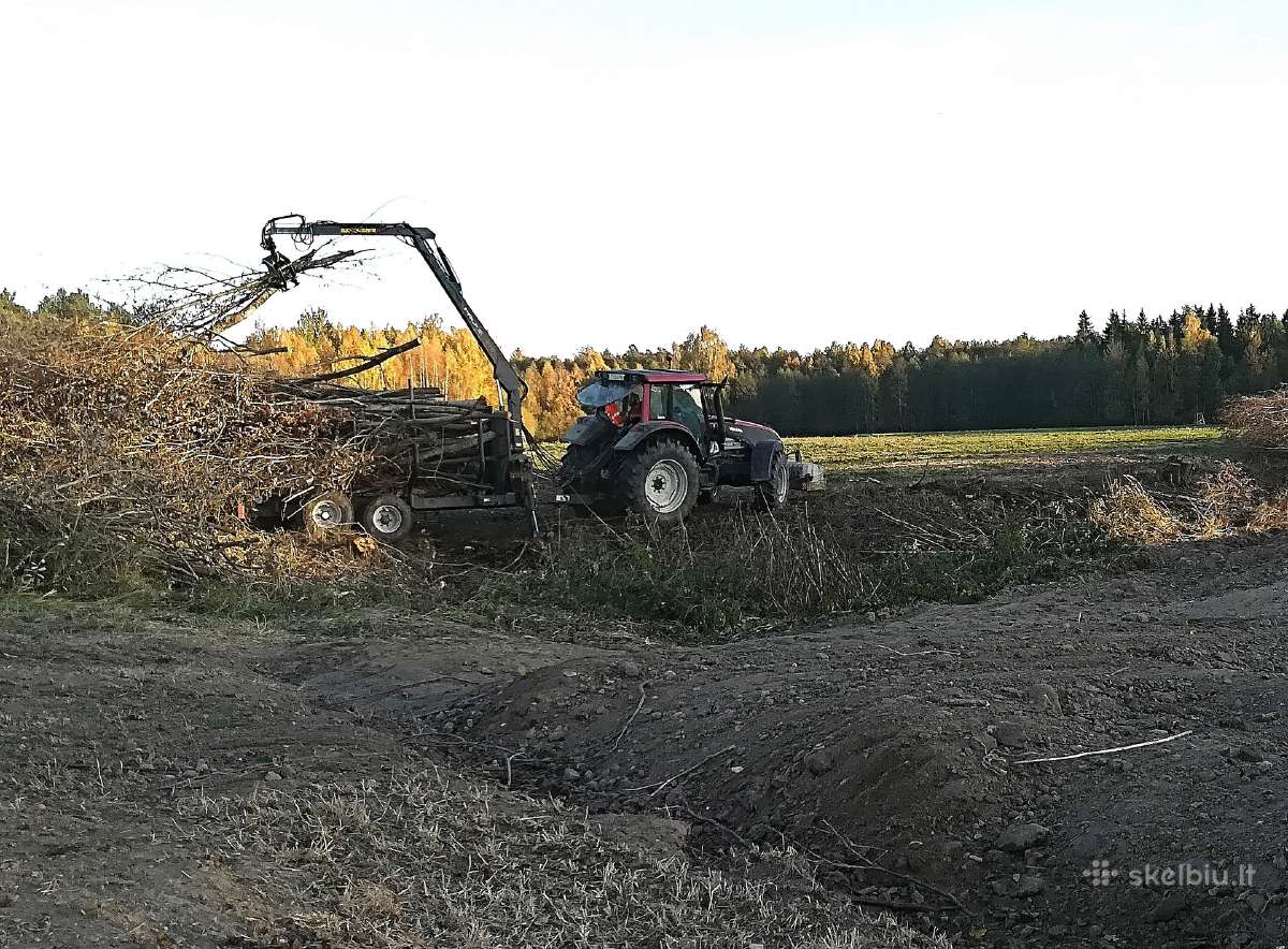 Perkame žaliavą biokurui, valome krūmynus