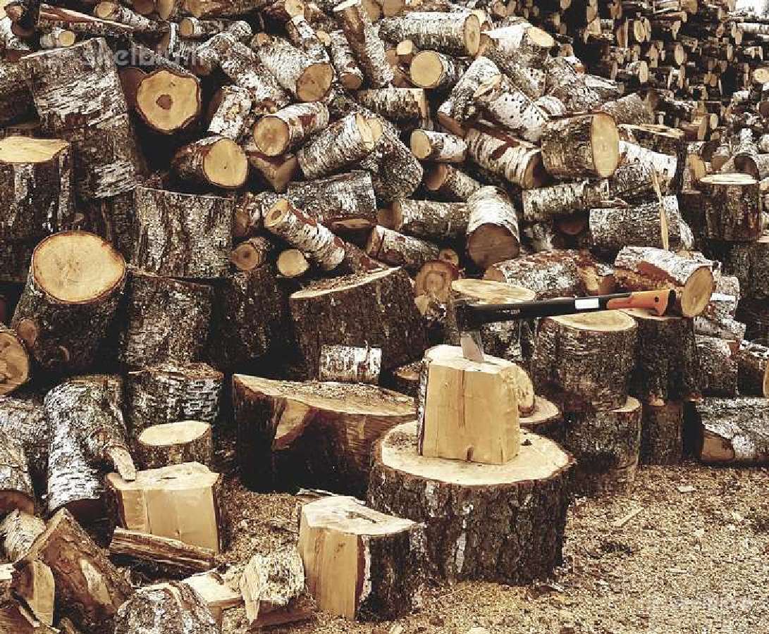 Parduodu beržo ir alksnio malkas Zarasų rajone | Skelbiu.lt Parduodu beržo ir alksnio malkas Zarasų rajone