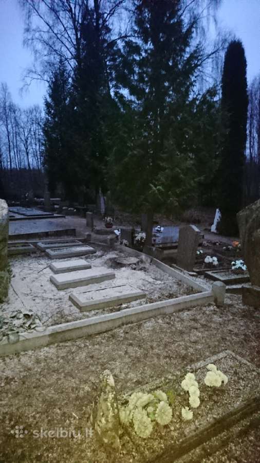 Pavojingų medžių pjovimas, genėjimas - nuotraukos Nr. 4