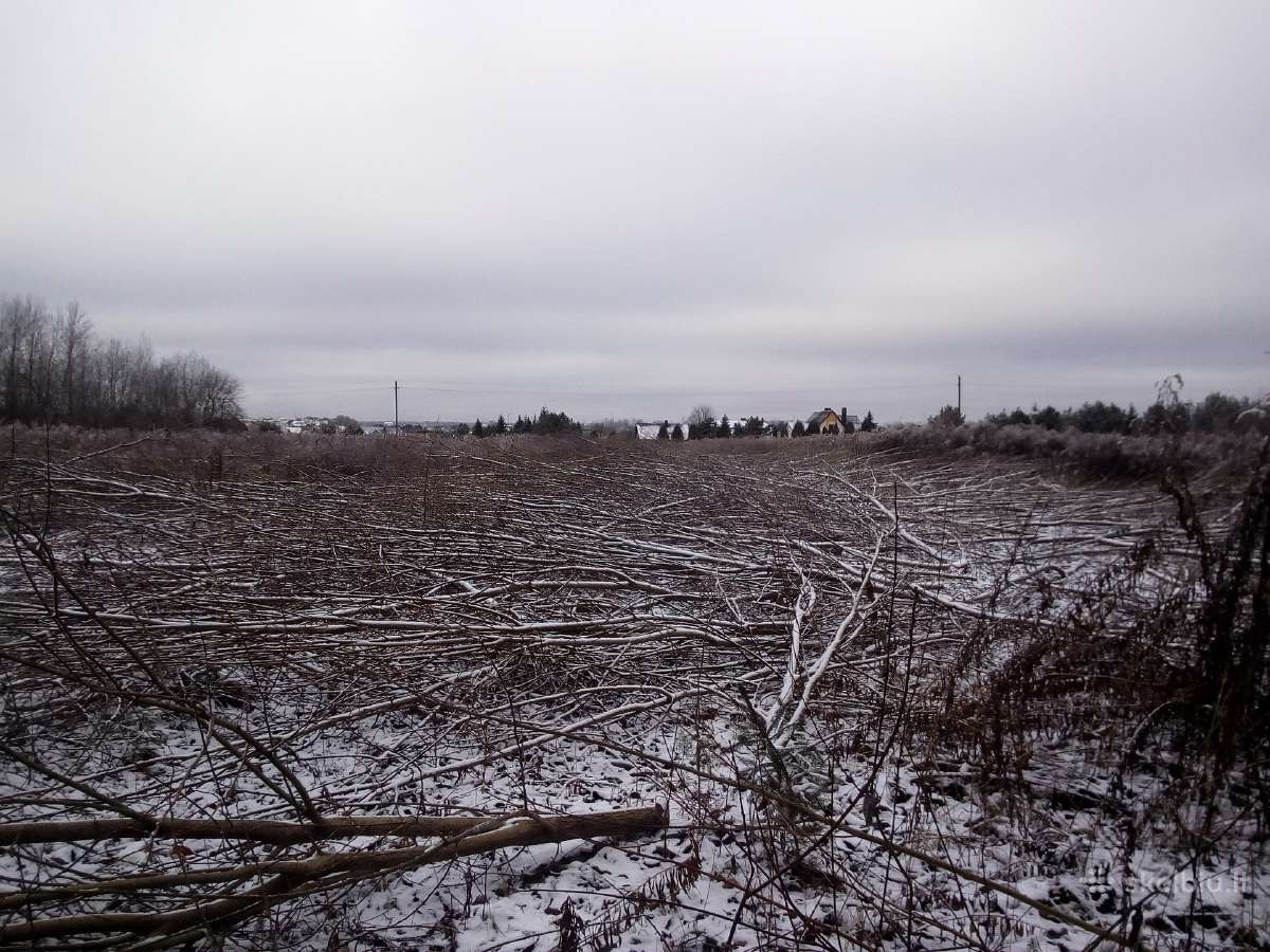 Žemės :frezavimas,arimas.zolės Krumu Pjovimas. - nuotraukos Nr. 25