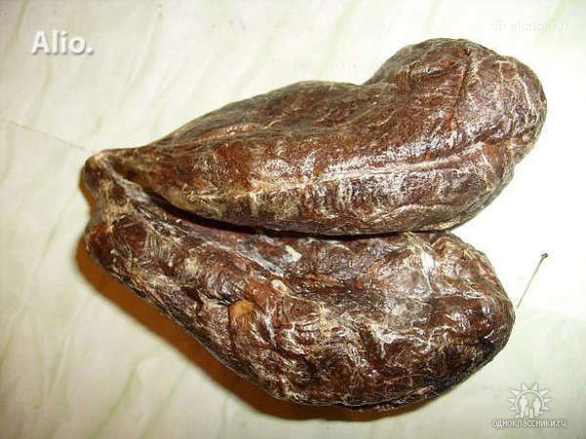 Bebro liaukos- (sruogliai)