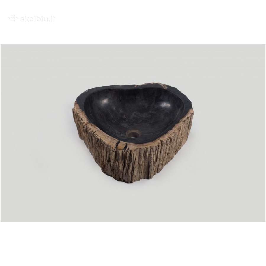 Fosilijos praustuvas , suakmenėjęs medis - nuotraukos Nr. 7