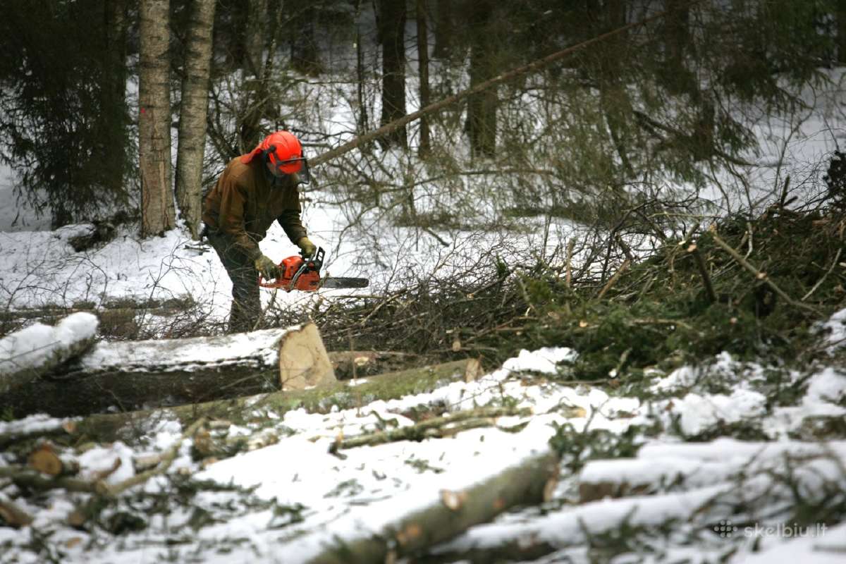 Tvarkome apleistus laukus,zemes.mokame nuo 500eu/h - nuotraukos Nr. 3