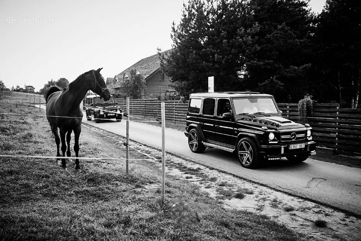 Automobilių nuoma vestuvėms auto nuoma - nuotraukos Nr. 13