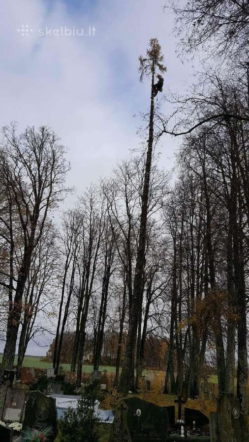 Avarinių medžių , krūmų pjovimas. Arboristas. - nuotraukos Nr. 9