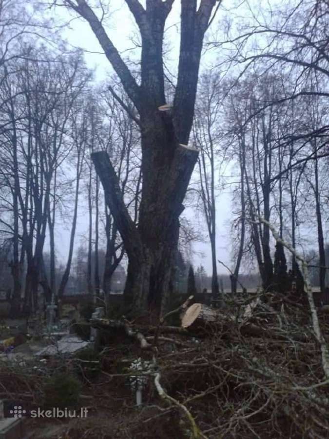 Avarinių medžių , krūmų pjovimas. Arboristas. - nuotraukos Nr. 6