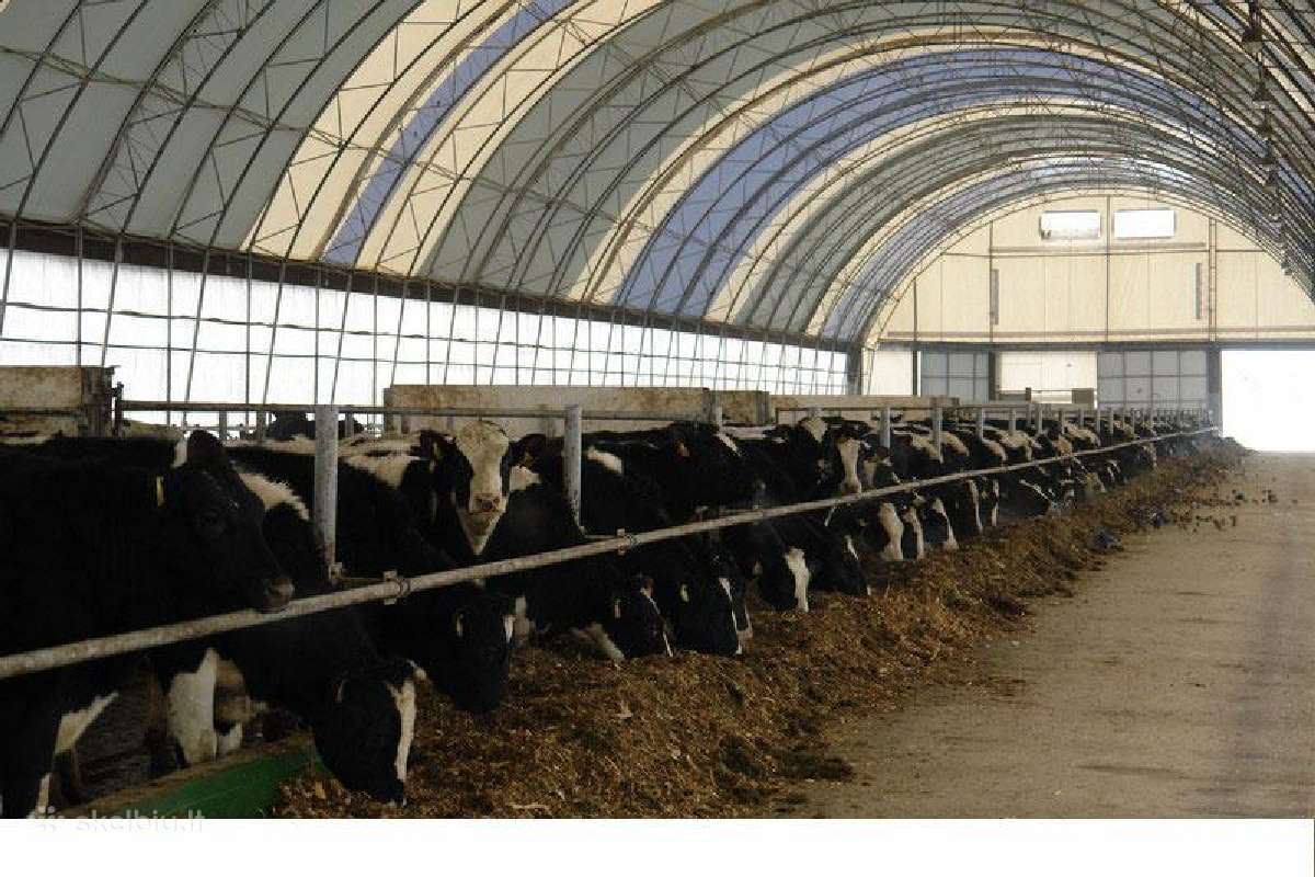 Angarų renovacija Pvc danga 25m garantija - nuotraukos Nr. 20