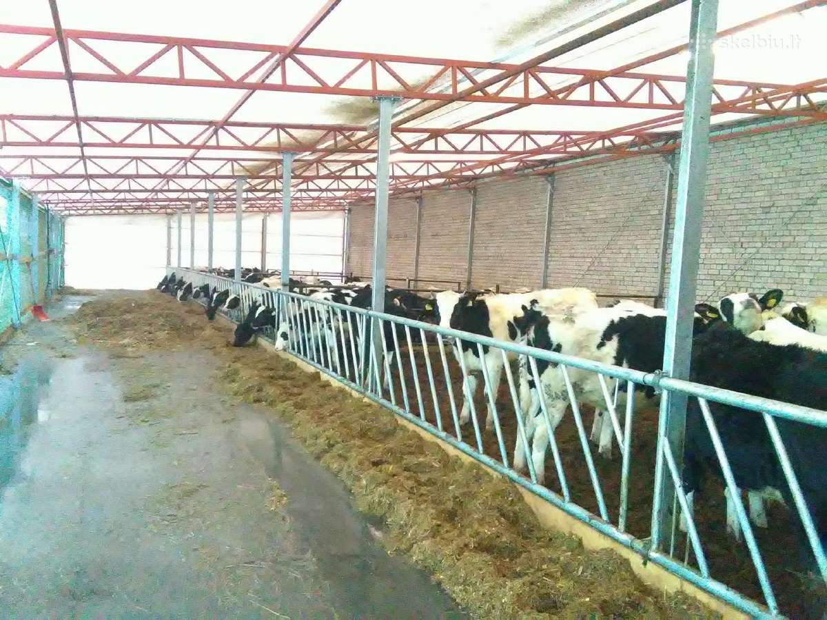 Angarų renovacija Pvc danga 25m garantija - nuotraukos Nr. 21