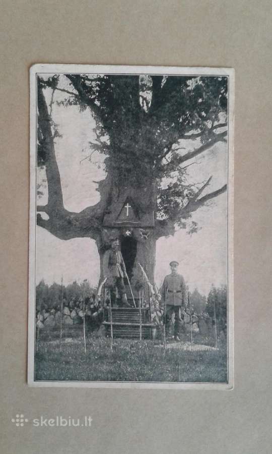 1-o pasaulinio k. atvirutės.+- nuo 1910 - nuotraukos Nr. 9