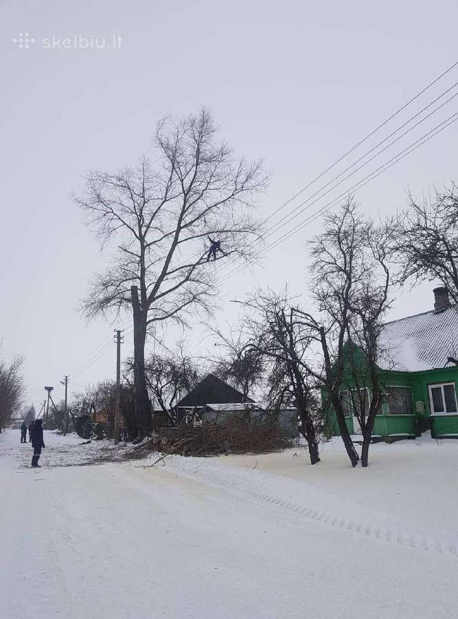 Arboristas. Medžių pjovimas, kelmų naikinimas - nuotraukos Nr. 6