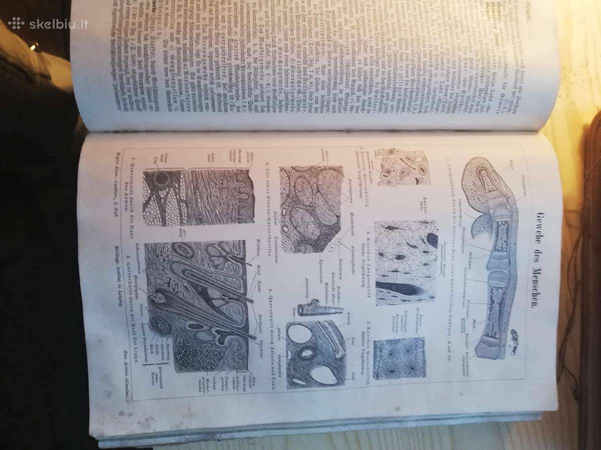 Knyga vokiška - nuotraukos Nr. 6