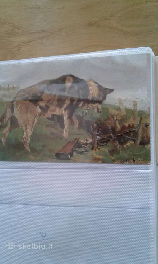 1914 m. 1-as pasaul. k. sunys sanit. atvirukai - nuotraukos Nr. 5