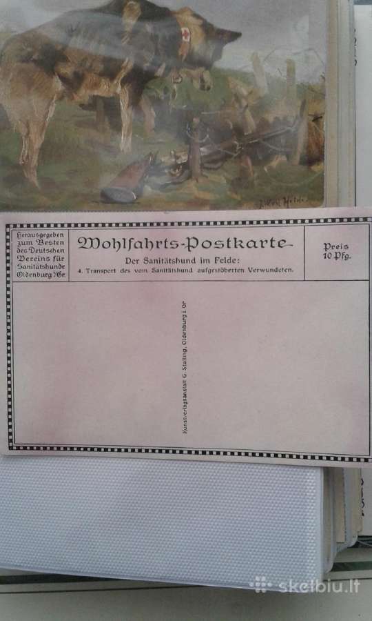 1914 m. 1-as pasaul. k. sunys sanit. atvirukai - nuotraukos Nr. 8