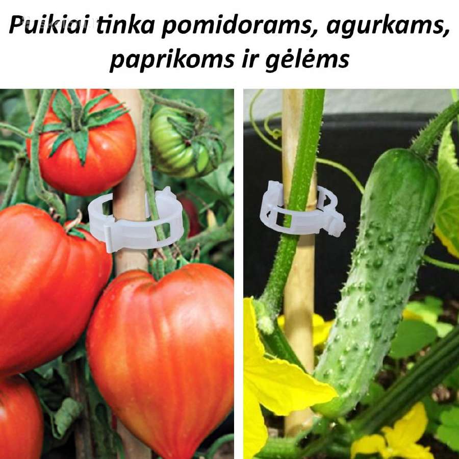 Pomidorų Segtukai. 50 Vnt.