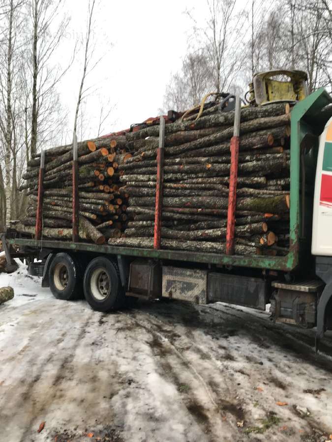 Malkos miškoveżiais,supjautas kalademis skaldytos - nuotraukos Nr. 2