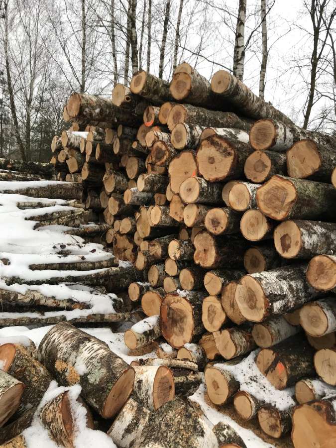 Malkos miškoveżiais,supjautas kalademis skaldytos - nuotraukos Nr. 5