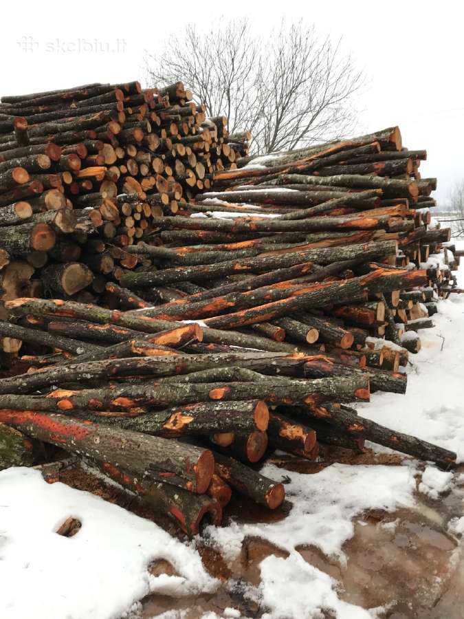 Malkos miškoveżiais,supjautas kalademis skaldytos - nuotraukos Nr. 7