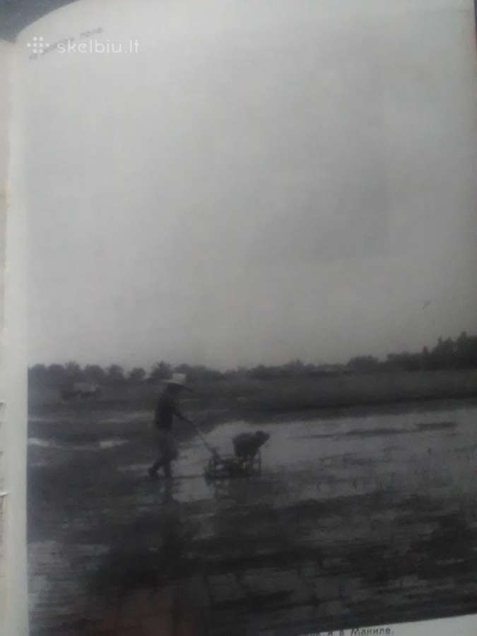 Knygos 1980 - ju metų - nuotraukos Nr. 6