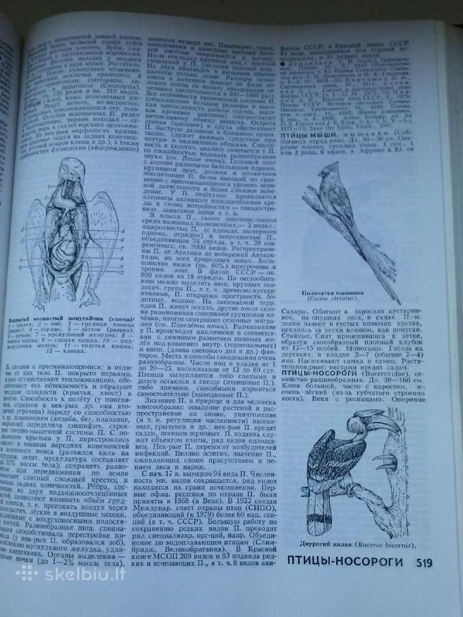 Biologene Encyklopedija. - nuotraukos Nr. 5